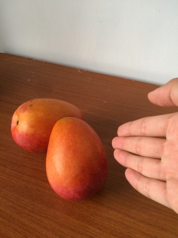 IMG_0532.JPG - 素材