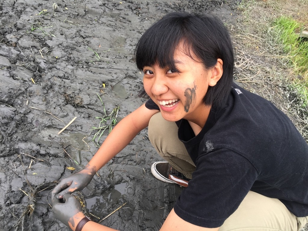 5D745CD5-E497-4139-AC7E-9583128336A3.jpg - 0710/當泥水牛遇到草水牛